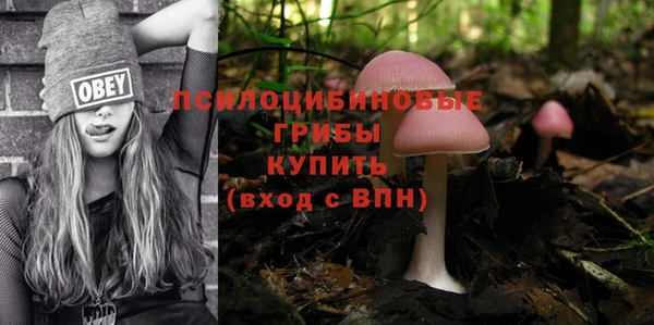 2c-b Баксан