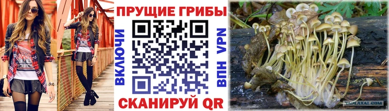 Псилоцибиновые грибы MAGIC MUSHROOMS Кремёнки